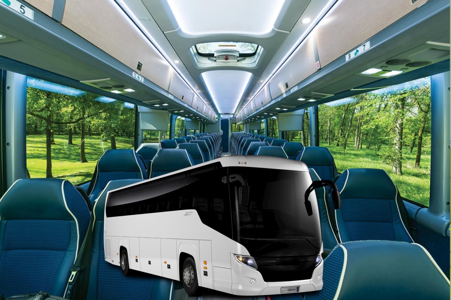 Eco-Friendly Group Travel Charter Bus Rentals